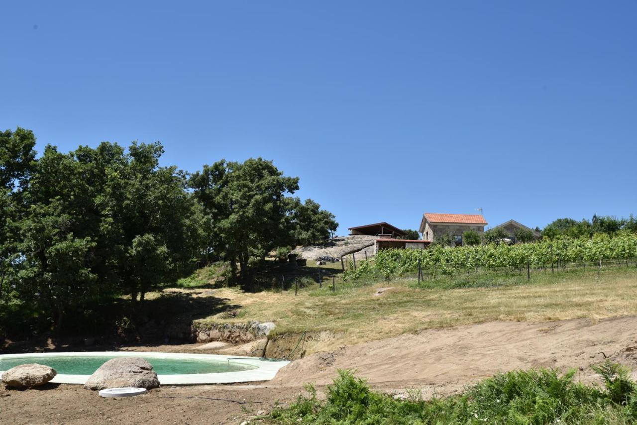 Villa Quinta De S. Cipriano Resende Exterior foto